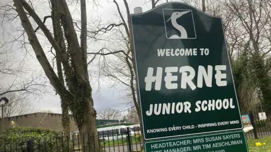 Herne Junior School in Petersfield praised by Ofsted inspectors